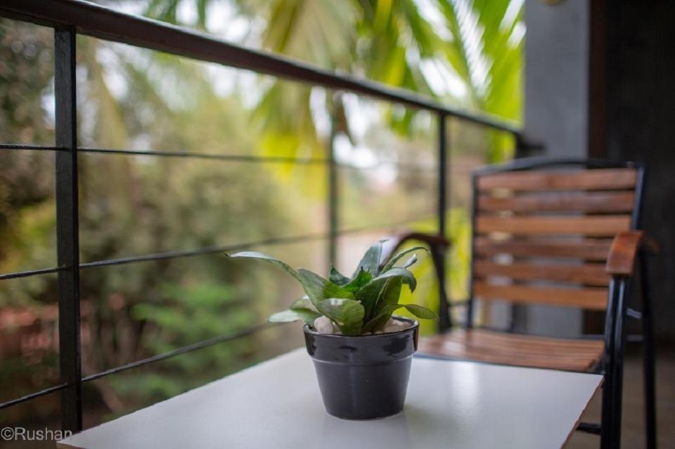 Apsara Greenland Boutique Hotel Siem Reap Esterno foto
